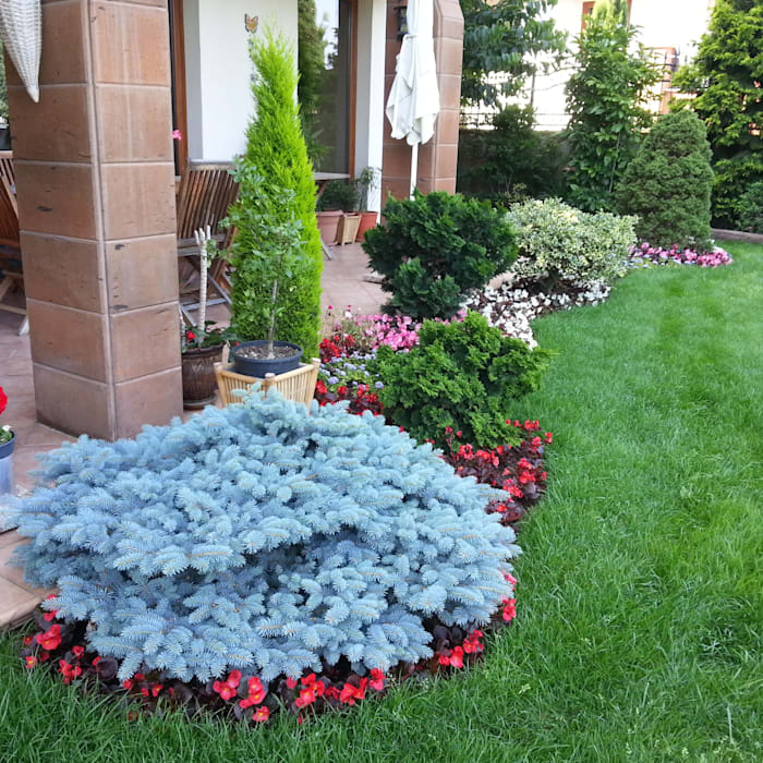 photo 2.jpg