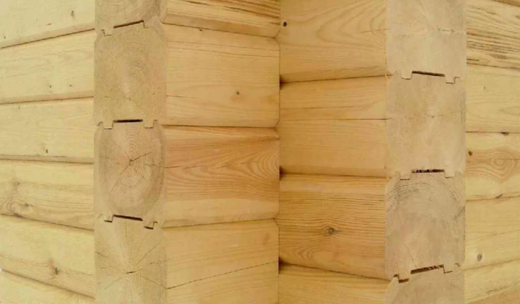 vidy-brusa-752x440.jpg