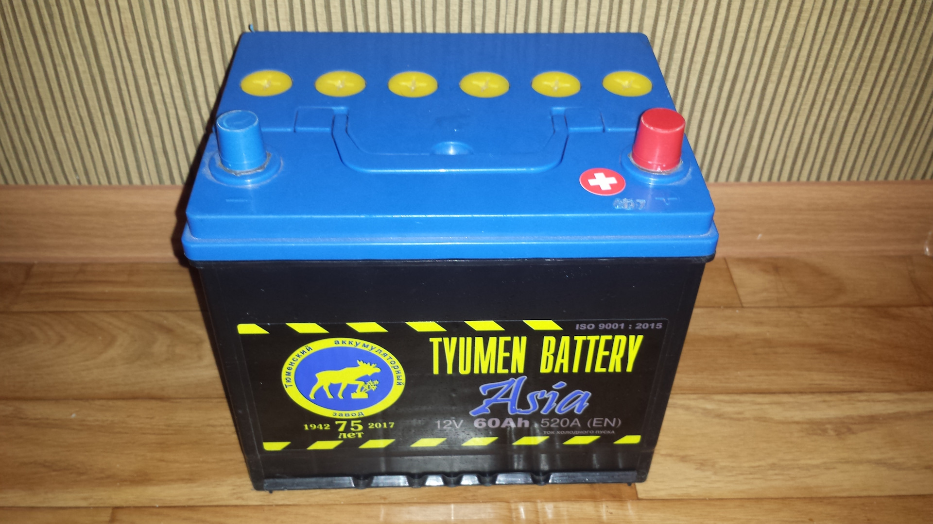 Tyumen Battery ASIA.jpg