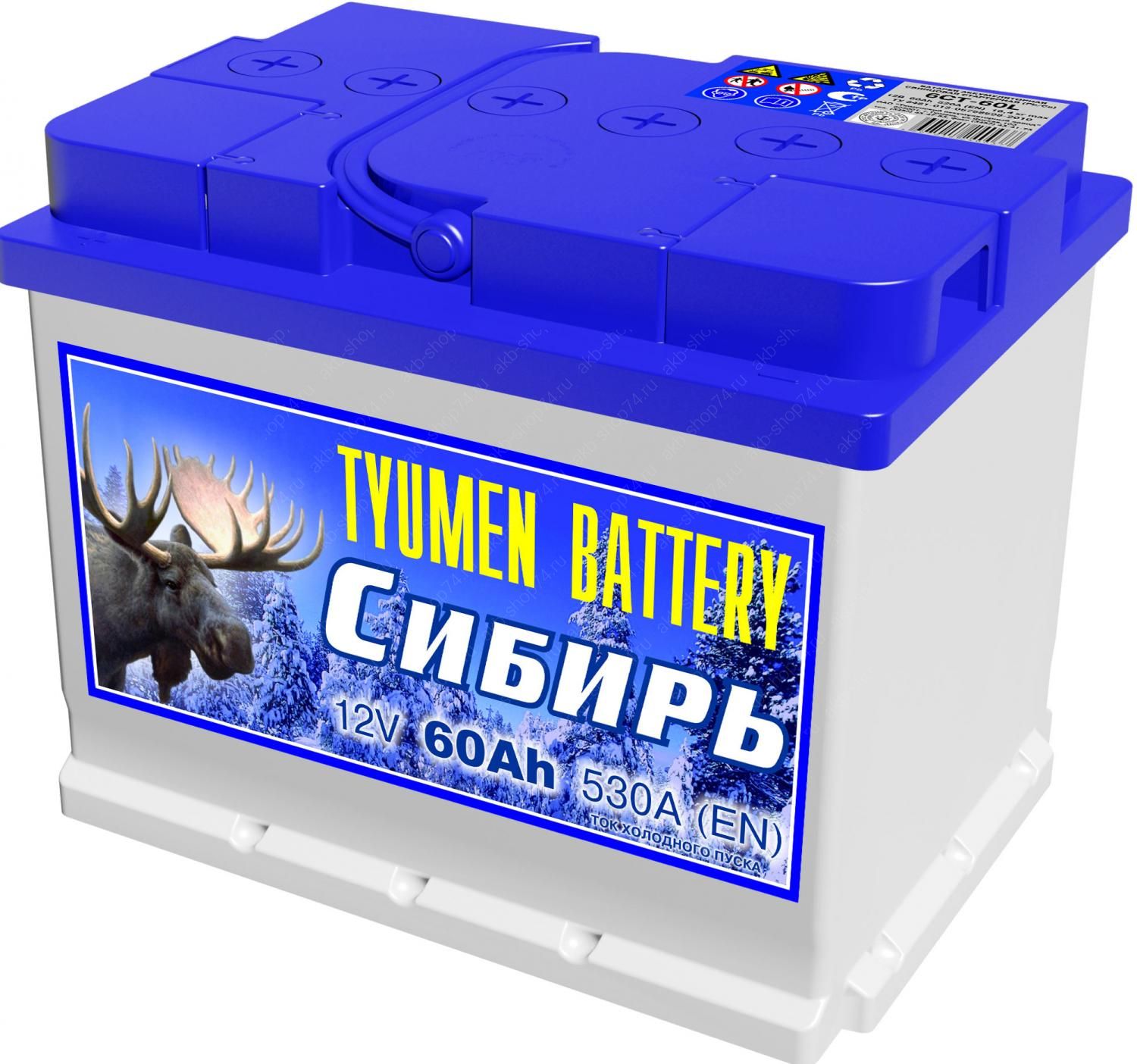 «Тюмень Сибирь».jpg